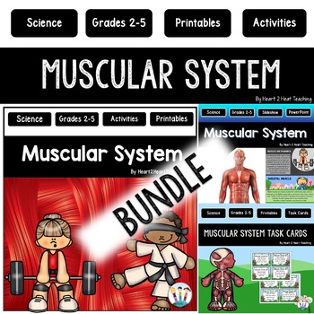 Preview of Muscular System Activities Bundle: Reading Passages PPT Task Cards Worksheets