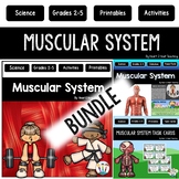 Muscular System Activities Bundle: Reading Passages PPT Ta