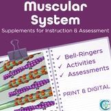 Muscular System Activities, Bell-Ringers, and Assessments for A&P