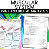 Muscular System Activities
