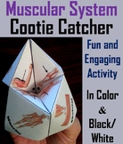 Muscular System Activity: Human Body Systems Cootie Catche