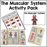 Muscular System Activty Pack Bundle Human Body Muscles