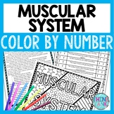 Muscular System Color by Number, Reading Passage and Text Marking