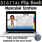 Muscular System Digital Flip Book