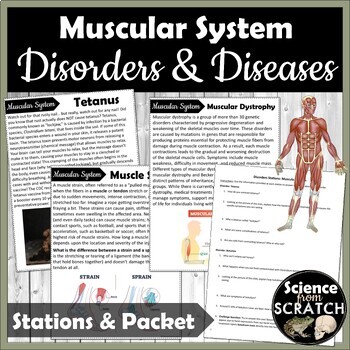 Preview of Muscular System Disorders and Diseases Stations