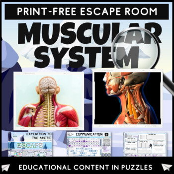 Preview of Muscular System Escape Room