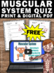 free download muscular system worksheet human body systems grade 5