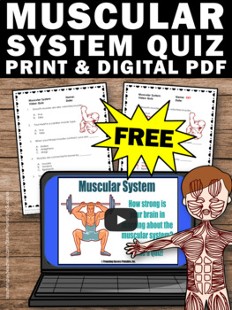 free muscular human body system 5th grade science distance learning packet