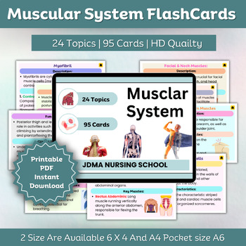 Preview of Muscular System Flashcard Fully Hyperlinked | Nursing Bundle | Medical Note