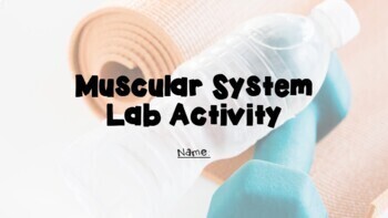 Preview of Muscular System Google Slides Lab Activity- Science, Physical Education