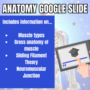Preview of Muscular System Google Slides Lecture with Video Lesson