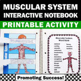 Muscular System 4th 5th Grade Science Interactive Notebook