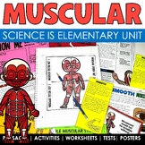 Muscular System Human Body Systems Worksheets Passages and