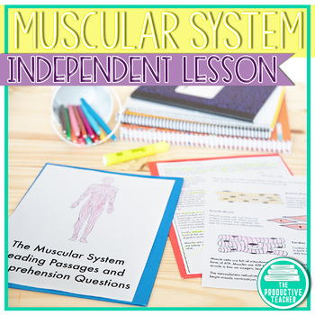 Preview of Functions of the Muscular System Worksheets and Reading Passages