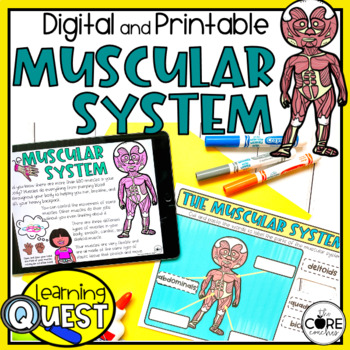 Preview of Muscular System Independent Work - Human Body Print & Digital Activities