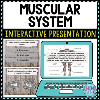Interactive Guide to the Muscular System