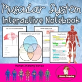 Muscular System Interactive Notebook