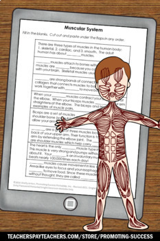 muscular system activities 5th grade body systems interactive notebook