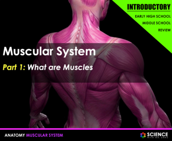 Flex Your Muscles! Biceps and Triceps (KEY) by Biologycorner