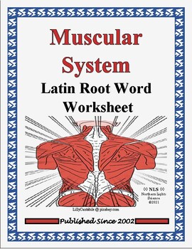 Preview of Muscular System Latin Root Word Worksheet