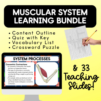 Preview of Muscular System Learning Bundle