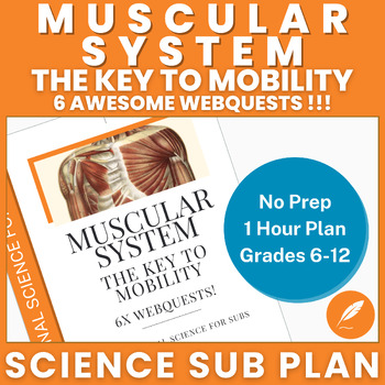 Preview of Muscular System: Muscle Strength Mobility Health Fitness (NO PREP) 6x WebQuests