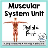 Muscular System - Muscles - Muscle Contraction Unit