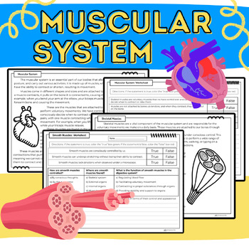 Preview of Muscular System & Muscles: Science Passages. Worksheets, & Projects