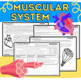 Muscular System & Muscles: Science Passages. Worksheets, &