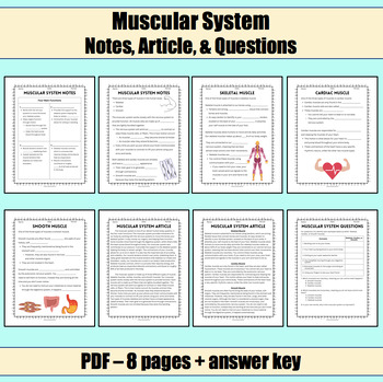 Preview of Muscular System (Notes, Article, and Questions)