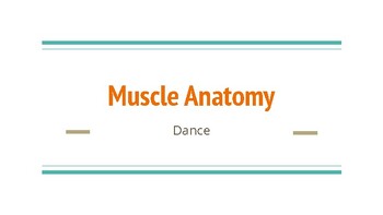 Preview of Muscular System Powerpoint for Dancers
