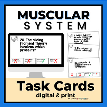 Preview of Muscular System Review Task Cards. 