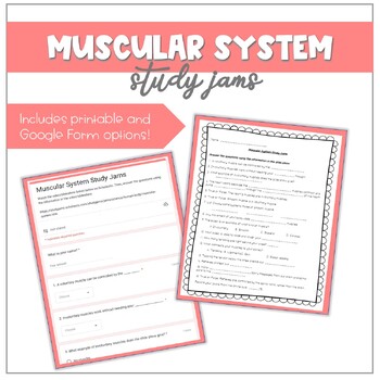 Preview of Study Jams: Muscular System Assignment [Printable & Google Form]