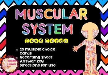 Preview of Muscular System Task Cards