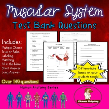 Preview of Muscular System Test Questions