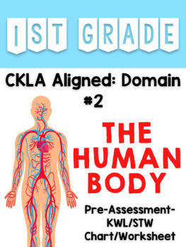 Preview of Muscular System, The Human Body CKLA See, Think, Wonder Worksheet KWL Chart Slip