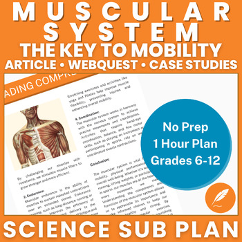 Preview of Muscular System: Muscle Strength Mobility Health Fitness (NO PREP) Activities++