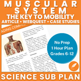 Muscular System: Muscle Strength Mobility Health Fitness (
