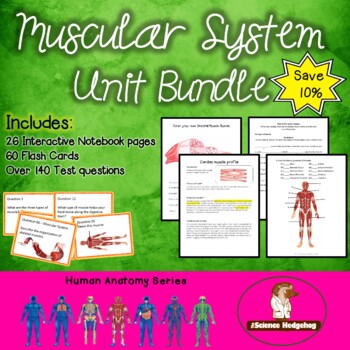 Preview of Muscular System Unit Bundle