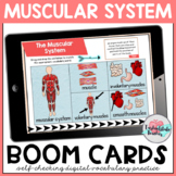 Muscular System Vocabulary Activities Boom Cards