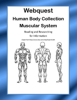 Preview of Muscular System - WebQuest:-CCSS .RI.4.1-8.1-.RI.4.2-8.2
