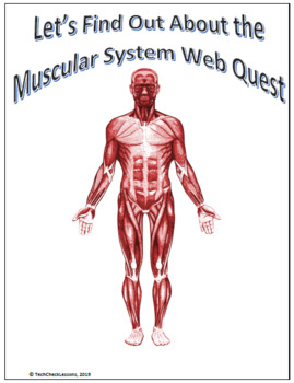 Preview of Muscular System Webquest | Editable Digital Science Activity