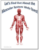 Muscular System Webquest for Google Apps - Internet Activi