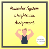 Phys Ed Muscular System Weightroom Assignment