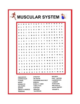 Preview of Muscular System Word Search