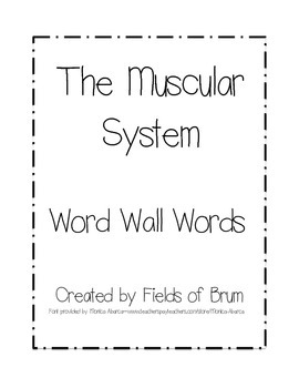 Preview of Muscular System Word Wall Words