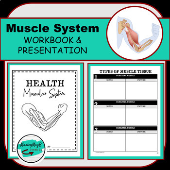 Preview of Muscular System Workbook and Presentation