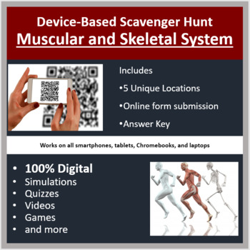 Preview of Muscular and Skeletal System – A Digital Scavenger Hunt Activity