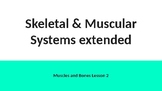 Muscular and Skeletal System Extension