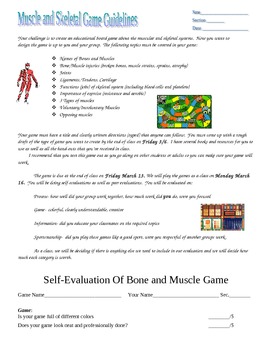 Preview of Muscular and Skeletal Systems Board Game Activity and Assessment Rubric